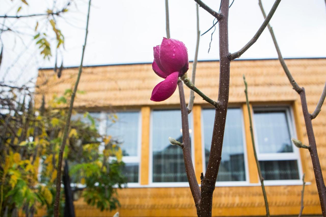 فندق Casa Cu Magnolii بيونيله إيزيه المظهر الخارجي الصورة