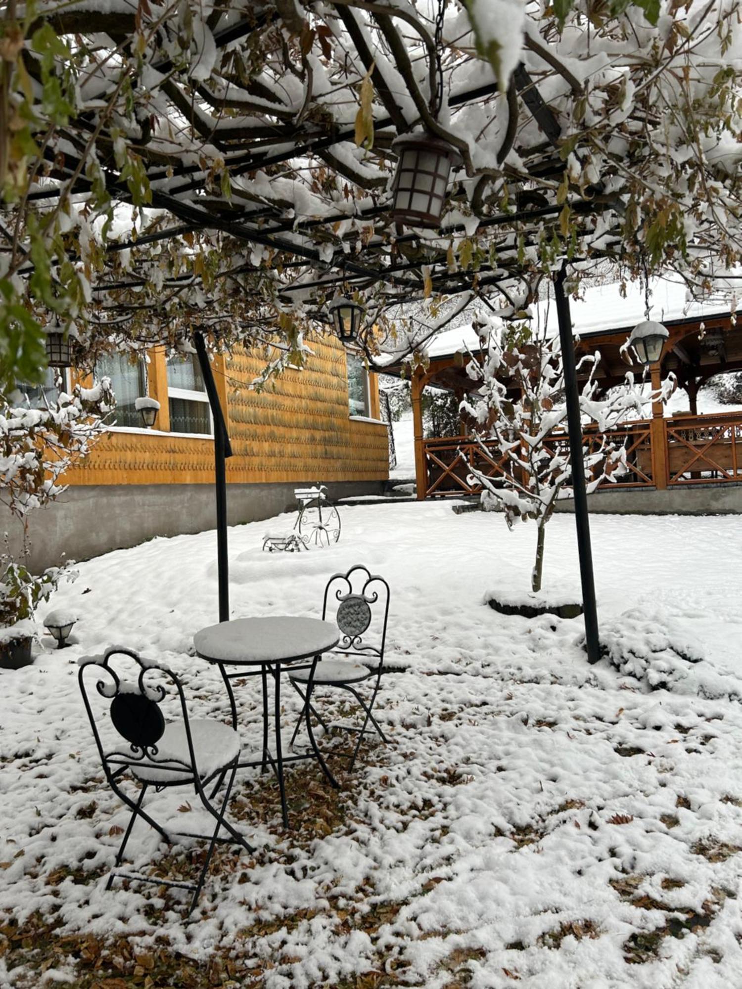 فندق Casa Cu Magnolii بيونيله إيزيه المظهر الخارجي الصورة